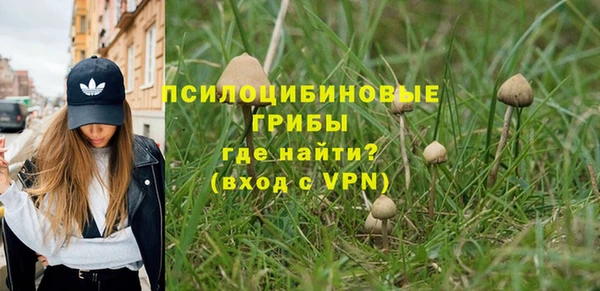МДПВ Осташков