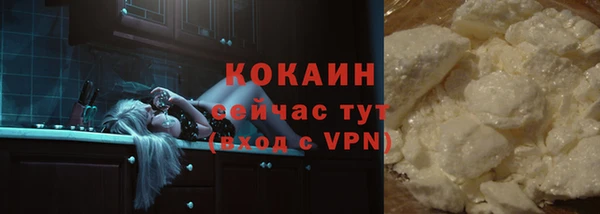 МДПВ Осташков