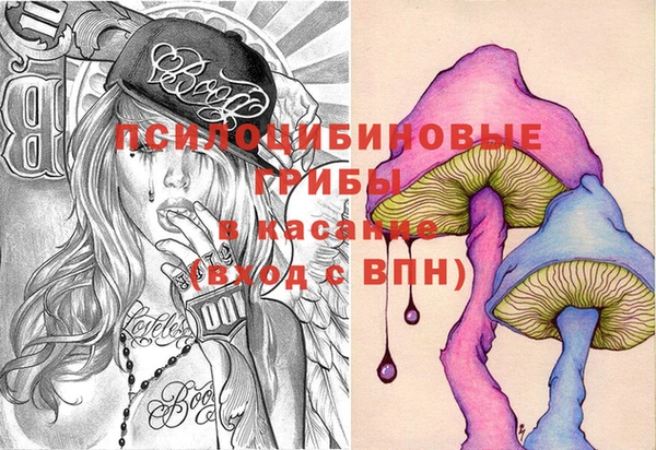СК Вязьма