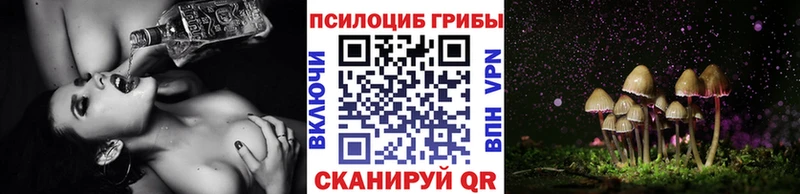 Псилоцибиновые грибы прущие грибы  Купить где  Курильск 