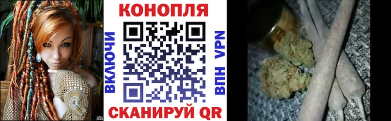 Купить где Курильск Конопля марихуана